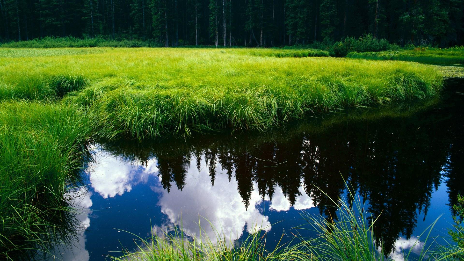 电影票贵到劝退 特惠小程序拯救你的观影热情！